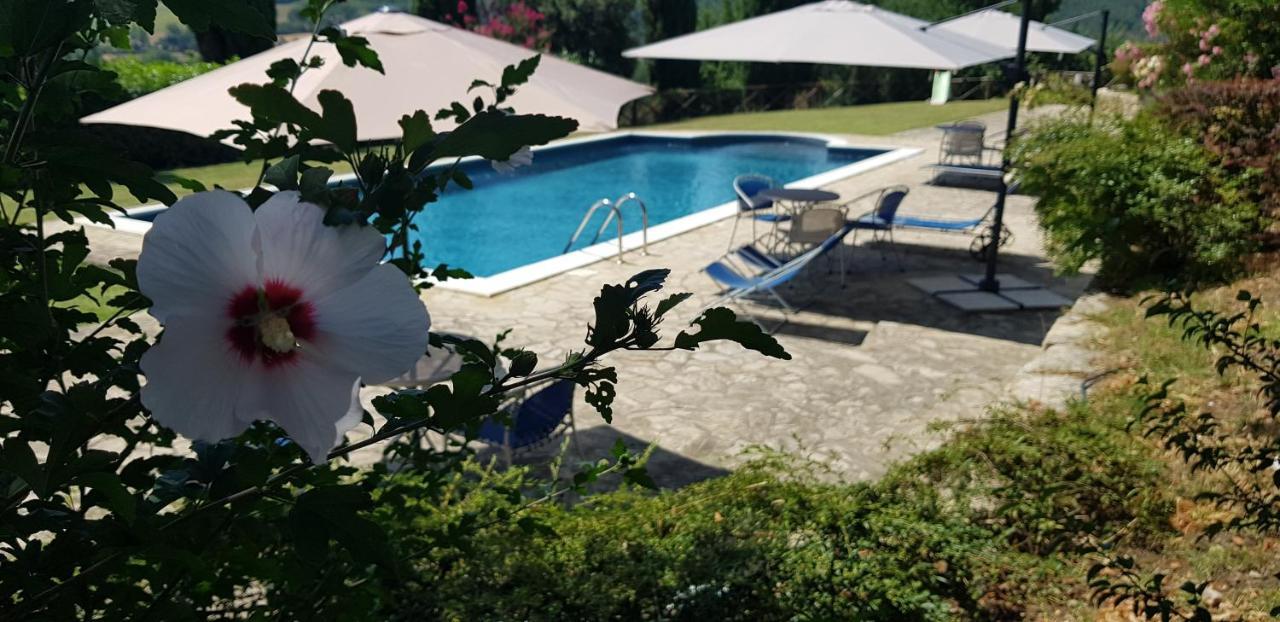 Case In Campagna Con Piscina A Todi Luaran gambar